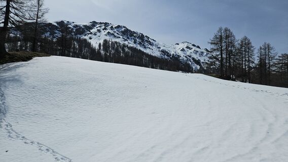 Fotografija s spletne strani kriessda na poti