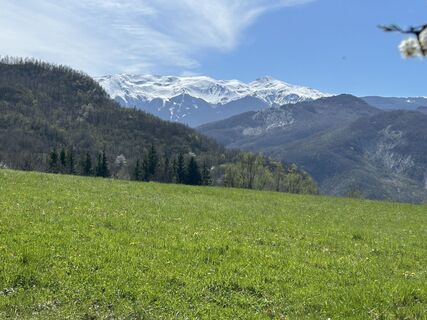 Photo de Emi le long du parcours