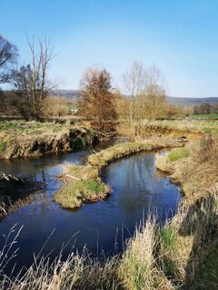Fotografia z Chris Schöbben na trase