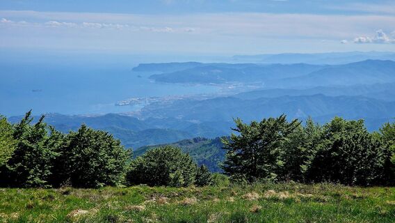 Photo de Fabrizi Mellano le long du parcours