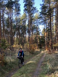 Meine Lieblingstour: Mit dem Gravelbike in der Dübener Heide