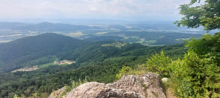 Fotografia z Mario Thomaschütz na trase
