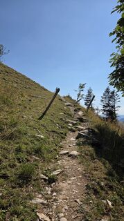 Fotografija s spletne strani Klementina Gartner na poti
