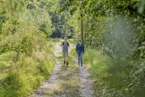 Wandern im Bühlertal
