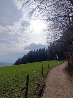 Fotografija s spletne strani Danielastrasser na poti