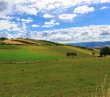 Landschaften rund um Bessenay