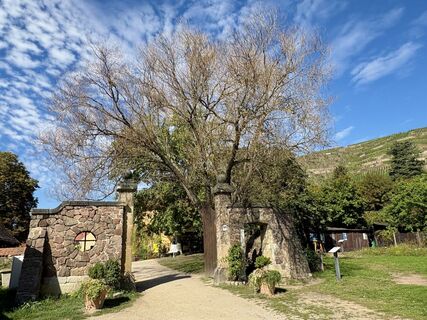Foto de berg-wanderer a lo largo del recorrido