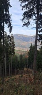 Foto von Gerhard Wasinger entlang der Tour