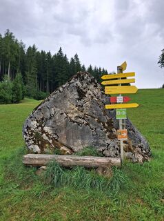 Photo de Brigitta Bors le long du parcours