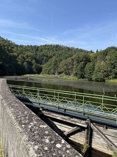 Photo de Timi le long du parcours