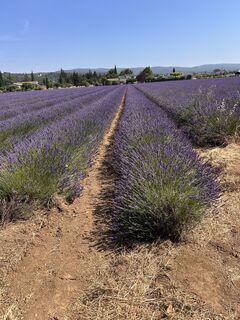 Foto de jml a lo largo del recorrido
