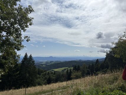Fotó a Dóra Bakonyi honlapról a túra során