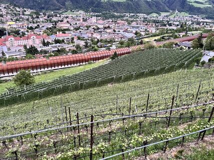 Foto von Walter Schatzer entlang der Tour