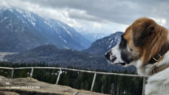 Fotó a Klaus Reinhold honlapról a túra során