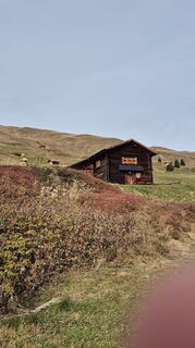 Zdjęcie z alinradu wzdłuż trasy