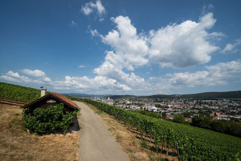Blick vom Tüllinger Berg