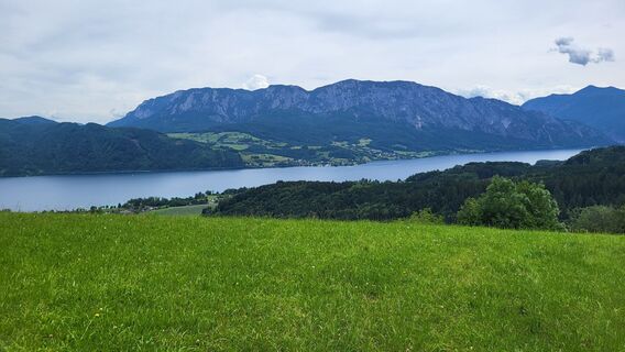 Foto von Eva Maria Groß entlang der Tour