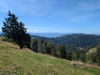 Foto von WolBo entlang der Tour
