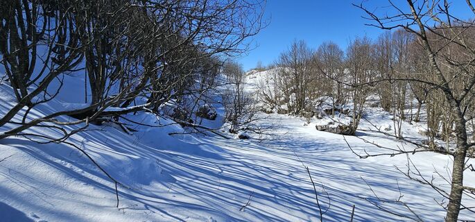 Photo de Nico le long du parcours