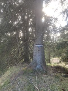 Fotografia z Thomas Mey na trase