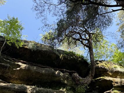 Photo from Norbert Herbig along the tour