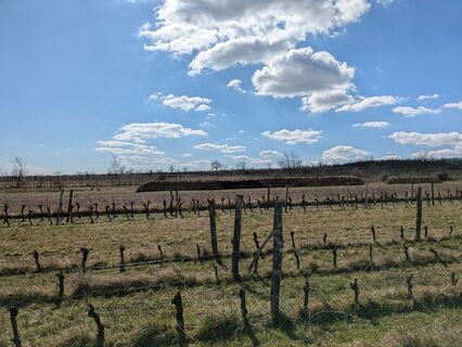 Fotografia z Edero na trase