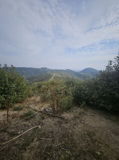 Photo de Eli le long du parcours