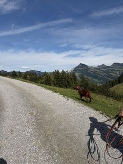 Foto von Andreas Geselle entlang der Tour