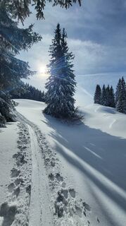 Foto de Daniela Überreich a lo largo del recorrido