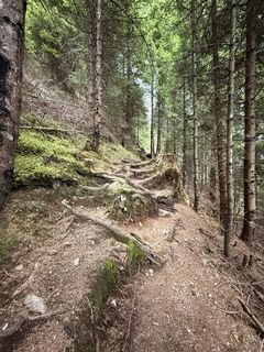 Foto von Martin Oberparleiter entlang der Tour