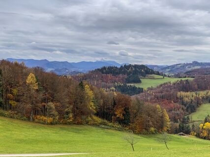 Photo de Leo Fahrngruber le long du parcours