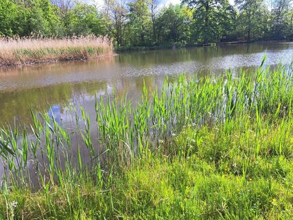 Fotografie de la Sabine Krohn de-a lungul turului