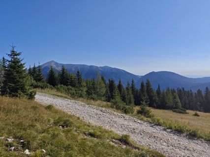 Foto von Bergpirat entlang der Tour