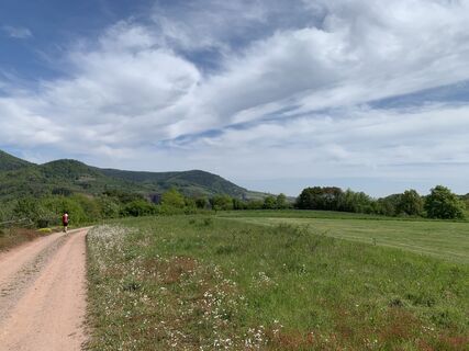 Foto de Dirk Steinert a lo largo del recorrido