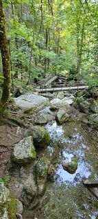 Foto da Nicky lungo il tour