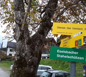 Immer dem grünen Kleber mit dem Walker nach