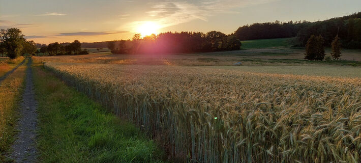 Wanderweg Ferne Horizonte
