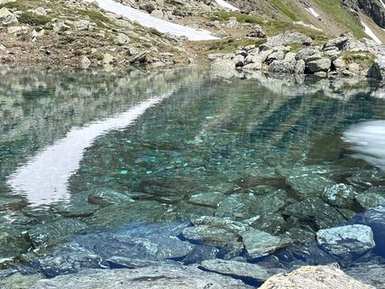 Fotografija s spletne strani Ewald Holzer na poti