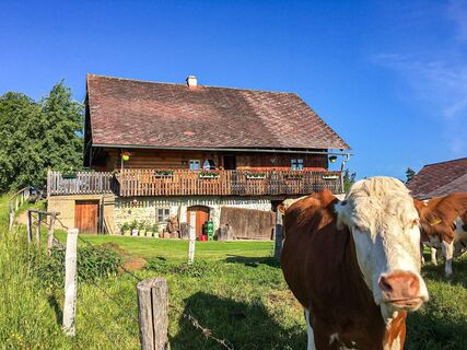 Remschniggalm