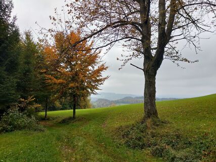 Foto von Michel Barbezat entlang der Tour