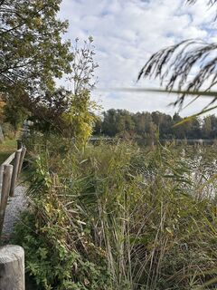 Fotografia z Cyrill Bischof na trase