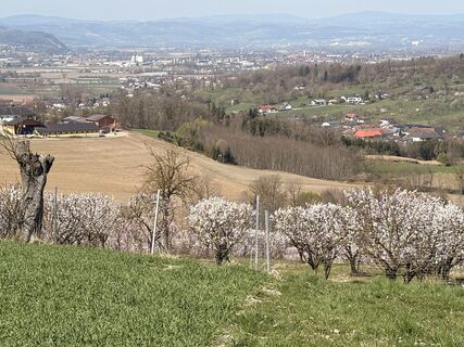 Foto von Nina Astleitner entlang der Tour