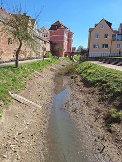 Foto da Hermann E. lungo il tour