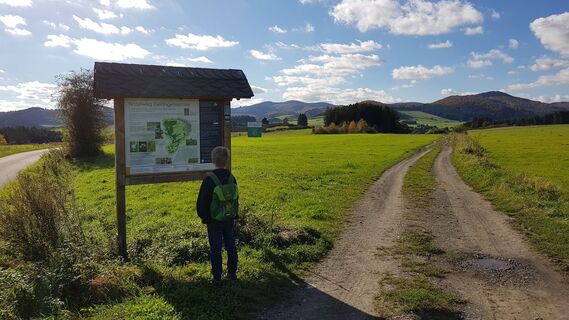 Infotafel des Naturerlebniswegs Gelängebachtal in Medebach