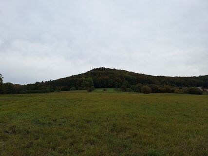 Fotografia z Hermann E. na trase