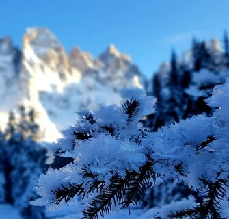 Eiskristallen