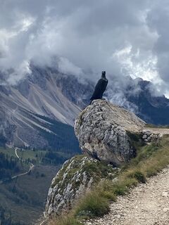 Foto från Peter Waltriny under resans gång