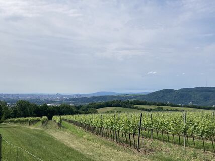 Photo from Moonytiger along the tour