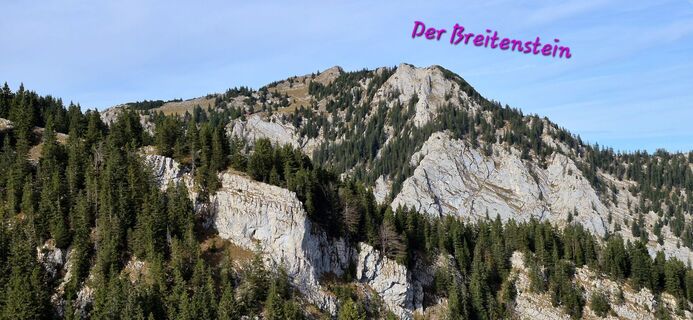 Foto de Thomas Schekira a lo largo del recorrido