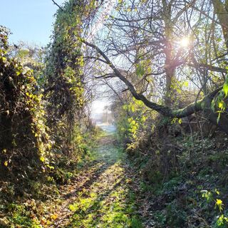 Ehret den Sock-Wanderweg